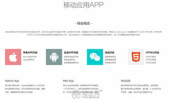 南昌app開發,軟件定制開發,oa系統已完成 南昌網站制作